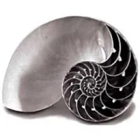 Inner Strength Coaching