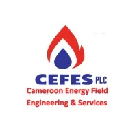 CEFES PLC