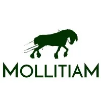 Mollitiam