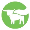 Beyond Meat Beyond Meat