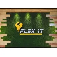 FLEX IT FITNESS FLEX IT FITNESS