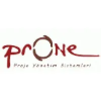 Prone Project Management Systems