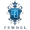 FEMDEL LLC FEMDEL LLC