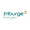 FRIBURGE ENERGIES S.A