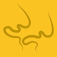 Psynthesys
