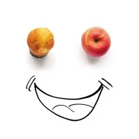 Foodlink Foundation Foodlink Foundation