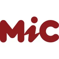 MIC Technology consulting