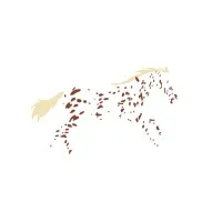Appaloosa Marketing