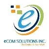 eCom Solutions Inc eCom Solutions Inc