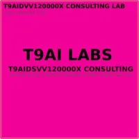 T9AIDSVV120000X CONSULTING