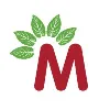 Mullein Pharmacy Mullein Pharmacy