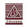 Triveni Kala Sangam Triveni Kala Sangam