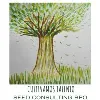 Seed Consulting BPO Seed Consulting BPO