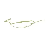 Narwhal Capital Management