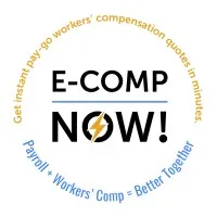 E-COMP, National Pay-Go Program to the Payroll Industry 