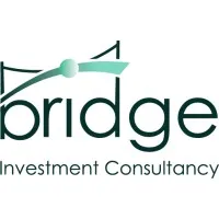 Bridge Investment Consultancy - Africa 