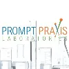 Prompt Praxis Laboratories Prompt Praxis Laboratories