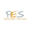 Professional Employment Solutions, Inc Professional Employment Solutions, Inc