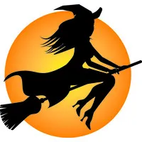 SHON COOK LAW, PC SHON COOK LAW, PC