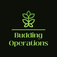 Budding Operations Budding Operations