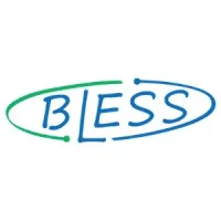 Bless Data&Strategy 博立思數據策略