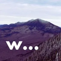Wallabout Collective