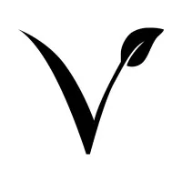 Vitelle Dermatology Lab