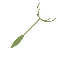 Backup Parachute Software