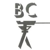 Blessington Corporation