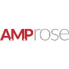 AMP Rose AMP Rose