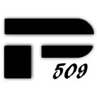 Precizion 509 Gymnastics