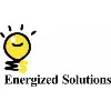 Energized Solutions India Private Limited Energized Solutions India Private Limited