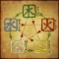 Five Element Wellness Center