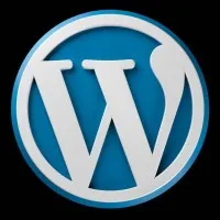 WordPress Website WordPress Website
