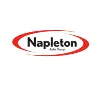 Napleton Auto Group