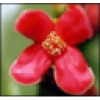 Tours & Travel Network