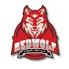 Red Wolf Info Tech Pvt. Ltd. Red Wolf Info Tech Pvt. Ltd.