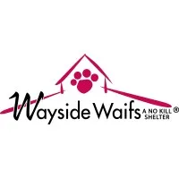 Wayside Waifs