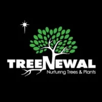 TreeNewal Certified Arborist TreeNewal Certified Arborist