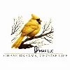 DjMax LLC DjMax LLC