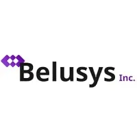 Belusys Inc Company Limited