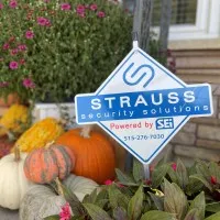 Strauss Security Solutions