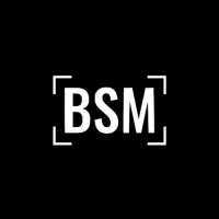 BSM Vision LLC