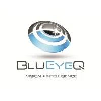 BluEyeQ LLC